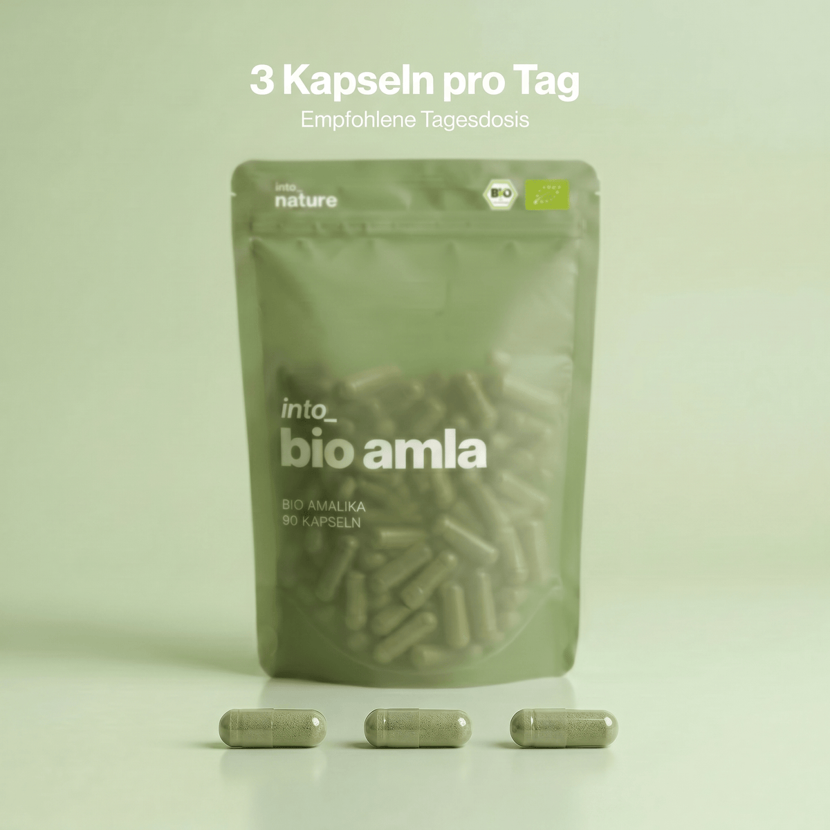 Einnahmeempfehlung: 3 Bio Amla Kapseln als tägliche Dosis