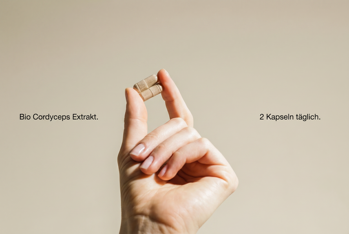 Eine Hand hält zwei Bio-Cordyceps-Extrakt-Kapseln für die tägliche Einnahme