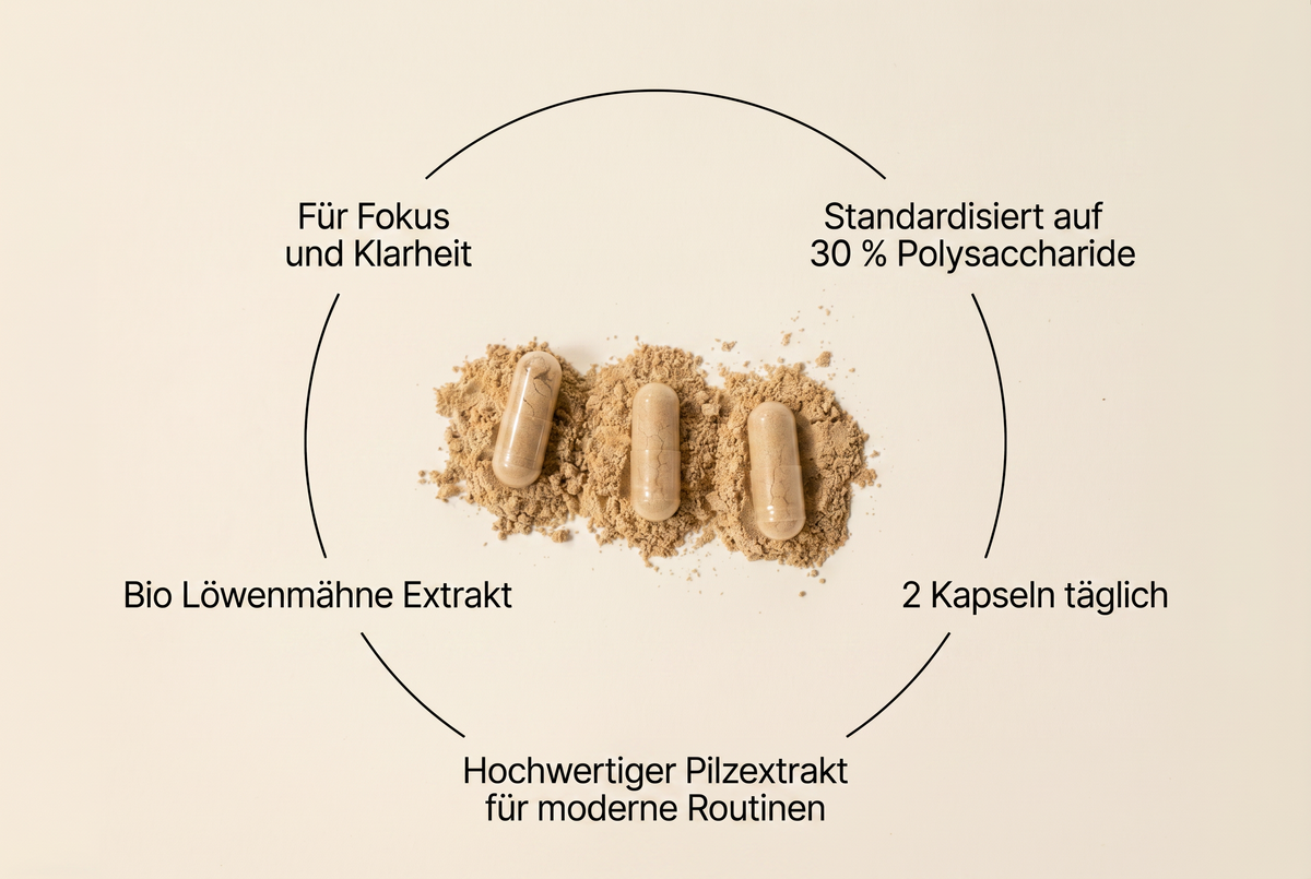 Infografik zu den Vorteilen und zur Dosierung der Bio Löwenmähne Extrakt Kapseln