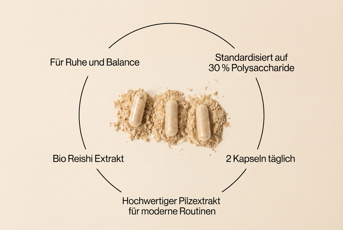 Infografik zu den Vorteilen und zur Dosierung der Bio Reishi Extrakt Kapseln