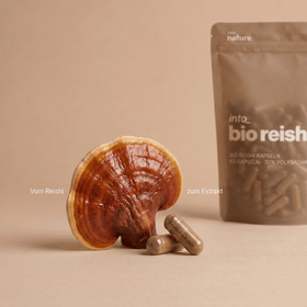 Einnahmeempfehlung: Morgens und abends je eine Bio Reishi Kapsel