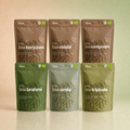 Großes Entdecker-Set – 4+2 gratis